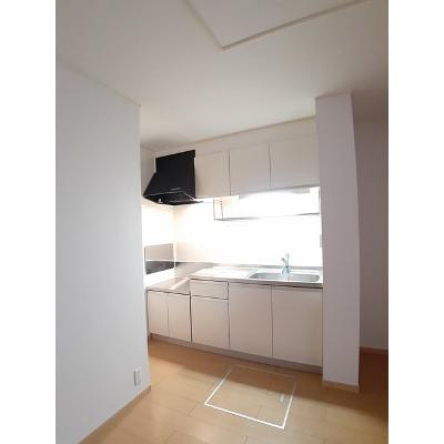 グランドゥール　ソフィア　Ⅰ 103【管理NO：1-015996801-01030】 ★家具家電は申し込み後に搬入します★の物件写真3