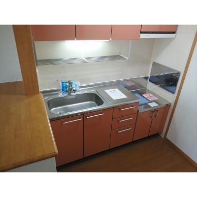 ミニョンパンセⅡ 203【管理NO：1-013172501-02030】 ★家具家電は申し込み後に搬入しますの物件写真3