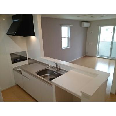 桜　Ⅱ 103【管理NO：1-020969502-01030】 ★家具家電は申し込み後に搬入しますの物件写真3