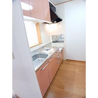 カノンⅢ 201【管理NO：1-013062403-02010】 ★家具家電は申し込み後に搬入します★の物件写真3