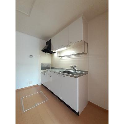 フリーデ 103【管理NO：1-015201101-01030】 ★家具家電は申し込み後に搬入しますの物件写真3