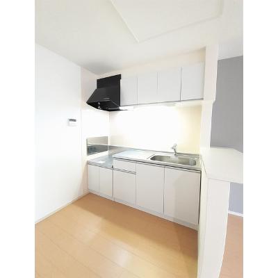 グリーンシトラス 202【管理NO：1-018889101-02020】 ★家具家電は申し込み後に搬入します★の物件写真3