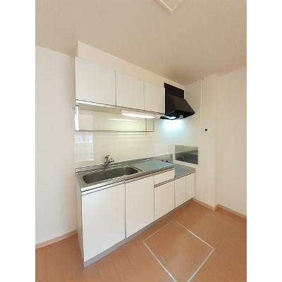 セレブリティ　Ｃ 102【管理NO：1-016740302-01020】 ★家具家電は申し込み後に搬入しますの物件写真3