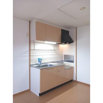 フランベルＡ 201【管理NO：1-015079201-02010】 ★家具家電は申し込み後に搬入します★の物件写真3