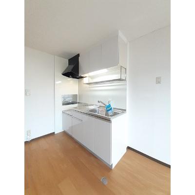 ルレーブ・ロイヤル 302【管理NO：1-005966001-03020】 ★家具家電は申し込み後に搬入しますの物件写真3