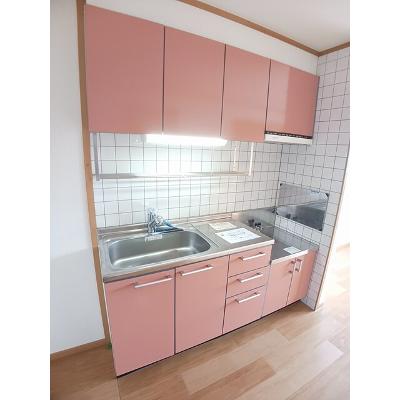 プラシード　Ｂ 201【管理NO：1-012856802-02010】 ★家具家電は申し込み後に搬入しますの物件写真3