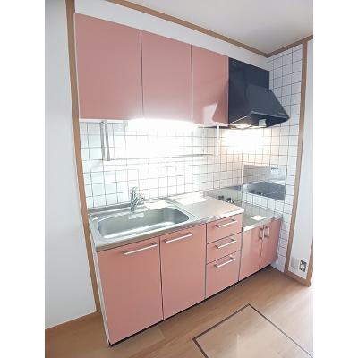 アヴニールＢ 103【管理NO：1-012472402-01030】 ★家具家電は申し込み後に搬入しますの物件写真3