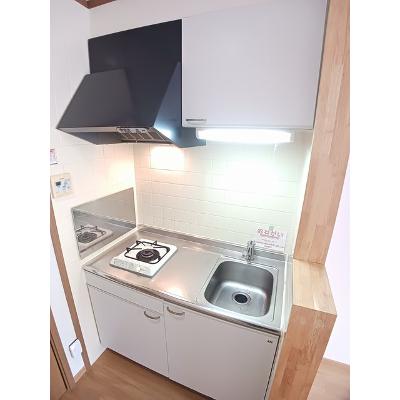 ホワイト・リバー 202【管理NO：1-010797901-02020】 ★家具家電は申し込み後に搬入します★の物件写真3