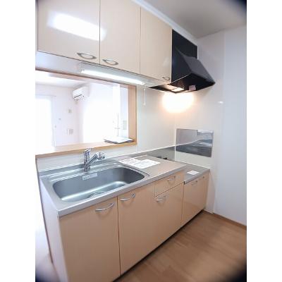 ブルー　アイランド 202【管理NO：1-014350301-02020】 ★家具家電は申し込み後に搬入しますの物件写真3