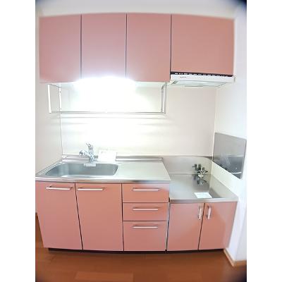 エマールカモガワ 103【管理NO：1-013550601-01030】 ★家具家電は申し込み後に搬入しますの物件写真3
