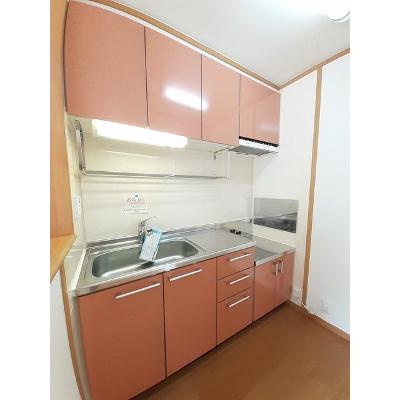 メゾン・ポポラーレＢ 203【管理NO：1-013067902-02030】 ★家具家電は申し込み後に搬入しますの物件写真3