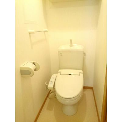 メゾン・ポポラーレＢ 202【管理NO：1-013067902-02020】 ★家具家電は申し込み後に搬入しますの物件写真5