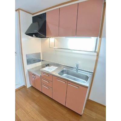 メゾン・ポポラーレＢ 102【管理NO：1-013067902-01020】 ★家具家電は申し込み後に搬入しますの物件写真3