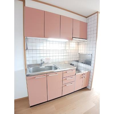 プラシード　Ｂ 202【管理NO：1-012856802-02020】 ★家具家電は申し込み後に搬入します★の物件写真3