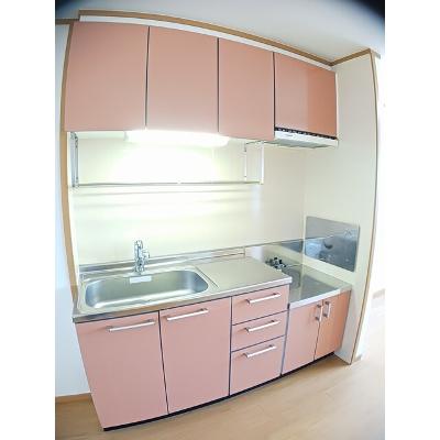 セナ　アイランド　Ｂ 203【管理NO：1-012284202-02030】 ★家具家電は申し込み後に搬入しますの物件写真3