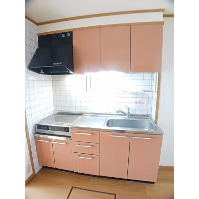 ポム・ド・テールＢ 101【管理NO：1-012246702-01010】 ★家具家電は申し込み後に搬入します★の物件写真3