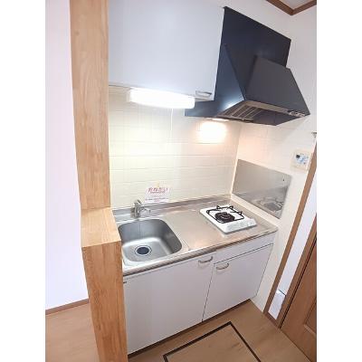 ホワイト・リバー 101【管理NO：1-010797901-01010】 ★家具家電は申し込み後に搬入します★の物件写真3