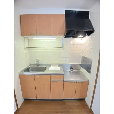 グレープガーデンＣ 103【管理NO：1-010338001-01030】 ★家具家電は申し込み後に搬入します★の物件写真3