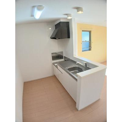 エアリーⅡ 202【管理NO：1-019167101-02020】 ★家具家電は申し込み後に搬入します★の物件写真3