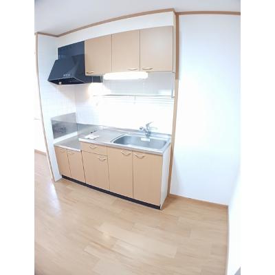 ラフレシールⅠ 201【管理NO：1-011849201-02010】 ★家具家電は申し込み後に搬入します★の物件写真3