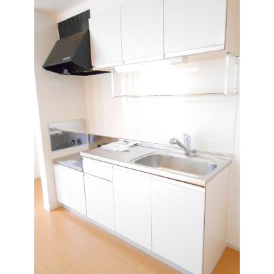 モンシェ　モア・Ⅲ 205【管理NO：1-017154401-02040】 ★家具家電は申し込み後に搬入します★の物件写真3