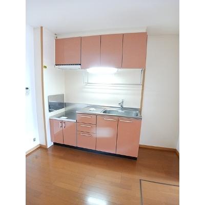 サンリット・オアシスＢ 103【管理NO：1-013549302-01030】 ★家具家電は申し込み後に搬入します★の物件写真3