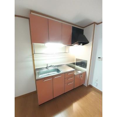 ブルーマーリン　Ｂ 101【管理NO：1-013275102-01010】 ★家具家電は申し込み後に搬入しますの物件写真3