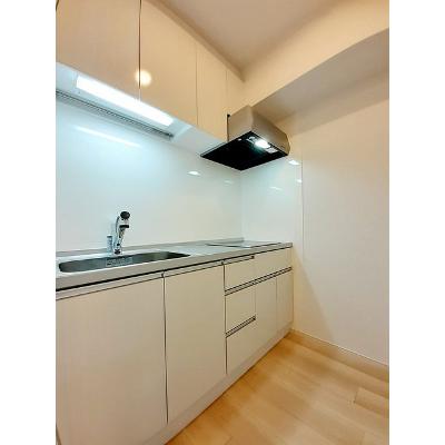 フェリス・ヴェルデ 206【管理NO：1-027552201-02050】 ★家具家電は申し込み後に搬入しますの物件写真3