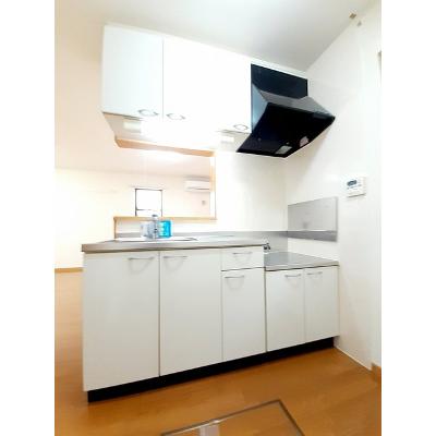 グランデＫ．Ａ 103【管理NO：1-013721301-01030】 ★家具家電は申し込み後に搬入しますの物件写真3