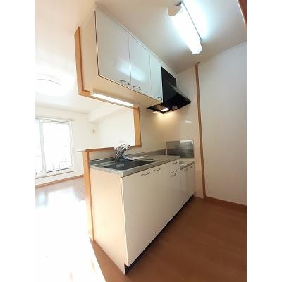 レーベン・バオム　Ｃ 203【管理NO：1-014268203-02030】 ★家具家電は申し込み後に搬入します★の物件写真3