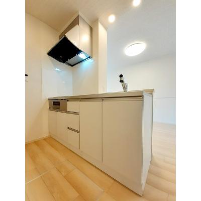 葉月 102【管理NO：1-027611201-01020】 ★家具家電は申し込み後に搬入します★の物件写真3