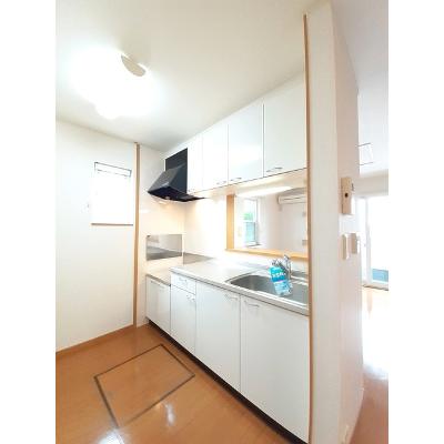 フィリア・デュオ・グランツ　Ｔ 105【管理NO：1-014204902-01040】 ★家具家電は申し込み後に搬入しますの物件写真3
