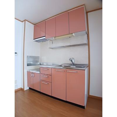 ロックガーデン　Ｃ 102【管理NO：1-012635203-01020】 ★家具家電は申し込み後に搬入しますの物件写真3