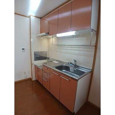 ロックガーデン　Ｃ 101【管理NO：1-012635203-01010】 ★家具家電は申し込み後に搬入しますの物件写真3