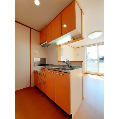 プラシードカーサⅡ 201【管理NO：1-012573102-02010】 ★家具家電は申し込み後に搬入します★の物件写真3