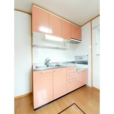 アクテュエルＹ 103【管理NO：1-012435701-01030】 ★家具家電は申し込み後に搬入しますの物件写真3