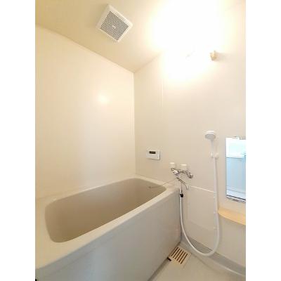 セレッソヒルズ 101【管理NO：1-010526801-01010】 ★家具家電は申し込み後に搬入しますの物件写真4