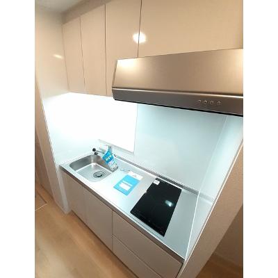 宮ノ丸トウロデン・２ 101【管理NO：1-027511002-01010】 ★家具家電は申し込み後に搬入しますの物件写真3