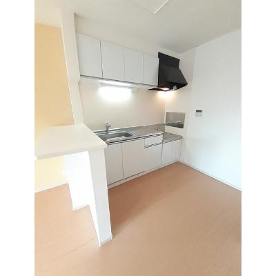 アンヴィーニュ 201【管理NO：1-019118301-02010】 ★家具家電は申し込み後に搬入します 2026年07月下旬入居可能の物件写真3