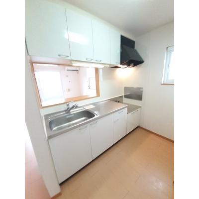 ＲｉｖｅｒＳｉｄｅ東祥Ｂ 205【管理NO：1-014458802-02040】 ★家具家電は申し込み後に搬入しますの物件写真3