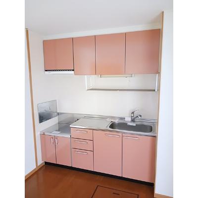 ガーデン彦崎 105【管理NO：1-013681301-01040】 ★家具家電は申し込み後に搬入しますの物件写真3