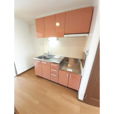 Ｄｅｍａｉｎ 201【管理NO：1-013397701-02010】 ★家具家電は申し込み後に搬入します★の物件写真3