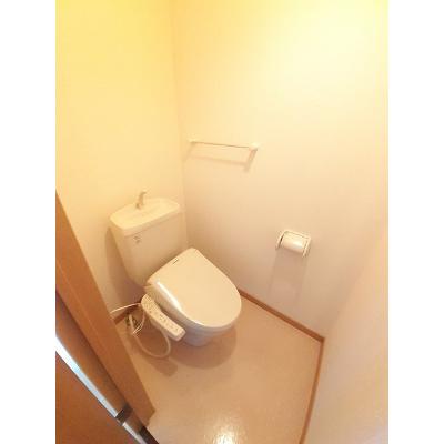 Ｓｍａｌｌ　Ｌｕｘｕｒｙ 302【管理NO：1-012540101-03020】 2026年07月下旬入居可能の物件写真5