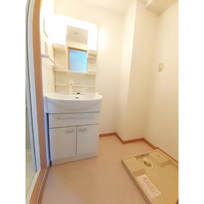 Ｓｍａｌｌ　Ｌｕｘｕｒｙ 302【管理NO：1-012540101-03020】 2026年07月下旬入居可能の物件写真6