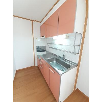 カーサ　Ｃ 203【管理NO：1-012405803-02030】 ★家具家電は申し込み後に搬入します★の物件写真3