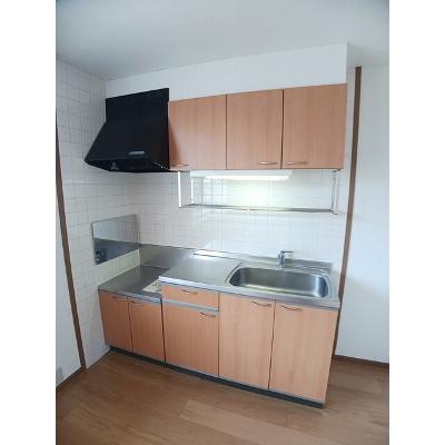 楓 202【管理NO：1-009325002-02020】 ★家具家電は申し込み後に搬入します★の物件写真3