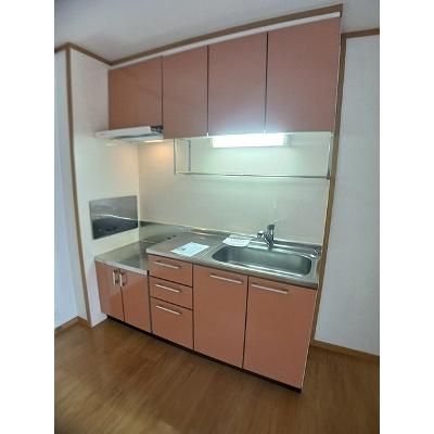 ビッグベア－　Ａ 106【管理NO：1-012835601-01050】 ★家具家電は申し込み後に搬入しますの物件写真3