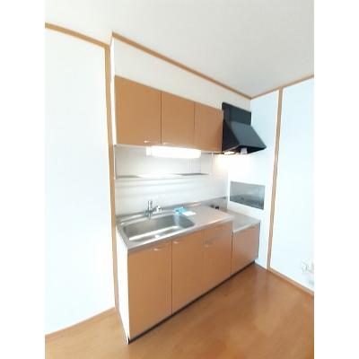 ブルーム・ミヤケⅡ 203【管理NO：1-012119201-02030】 ★家具家電は申し込み後に搬入します★の物件写真3