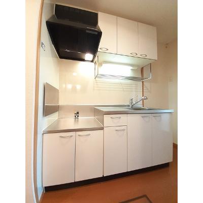 グリーンスプリングス　Ｂ 102【管理NO：1-014707401-01020】 ★家具家電は申し込み後に搬入しますの物件写真3