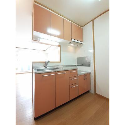 セレッソ 103【管理NO：1-012826001-01030】 ★家具家電は申し込み後に搬入しますの物件写真3